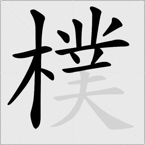 樸