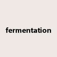 fermentation是什么意思