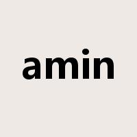 amin是什么意思