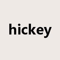 hickey是什么意思