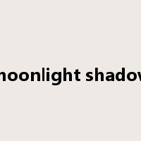 moonlight shadow是什么意思