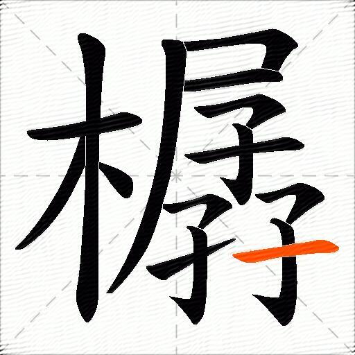 樼