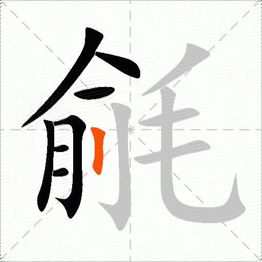 毹