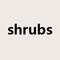 shrubs是什么意思