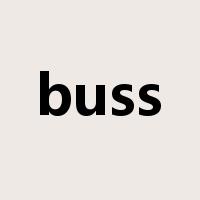 buss是什么意思