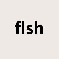 flsh是什么意思