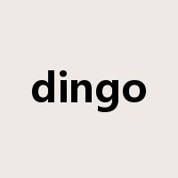dingo是什么意思