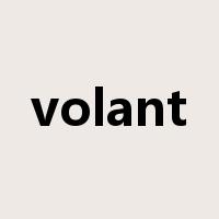 volant是什么意思