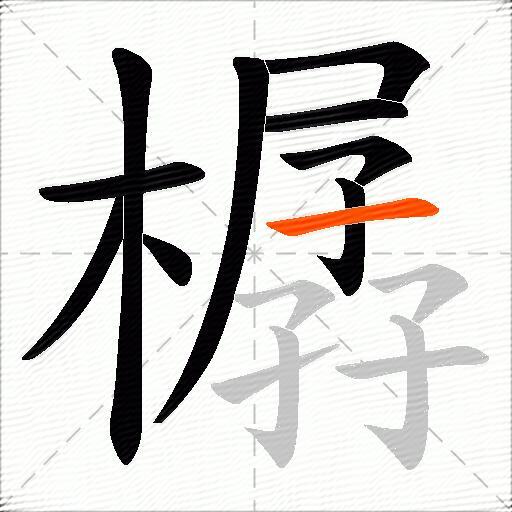樼