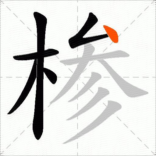 椮