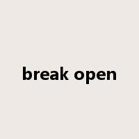 break open是什么意思