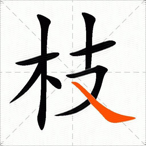 枝