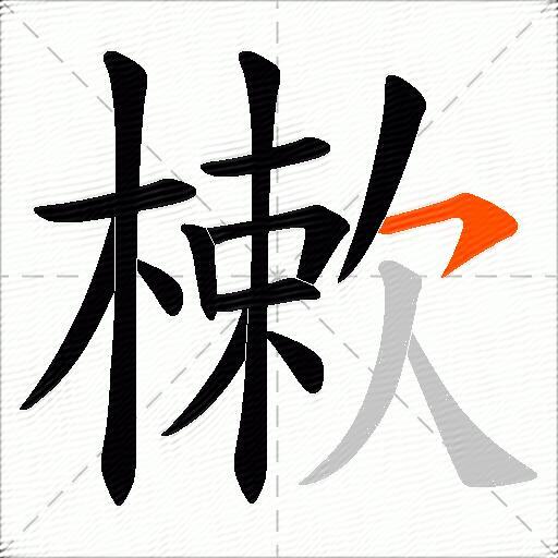 樕