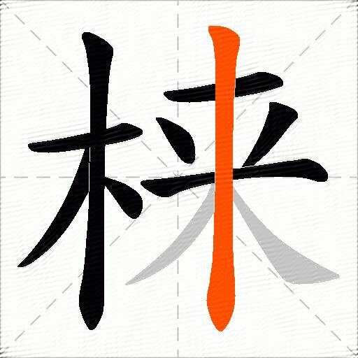 梾
