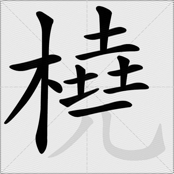 橈