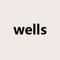 wells是什么意思