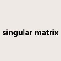 singular matrix是什么意思