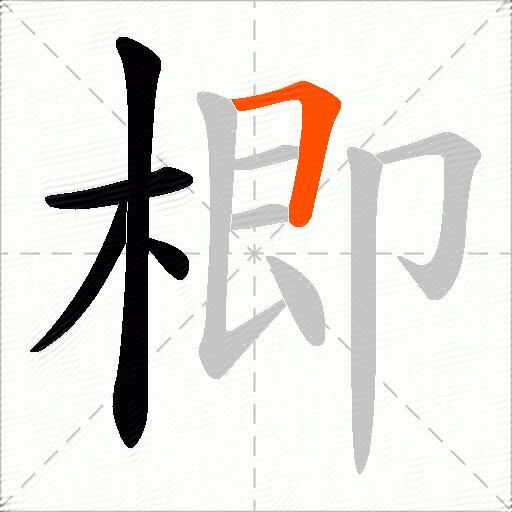 楖