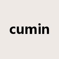 cumin是什么意思