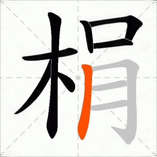 梋