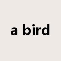 a bird是什么意思