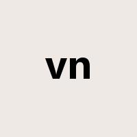 vn是什么意思