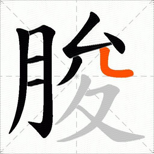 朘