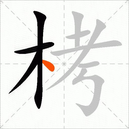 栲