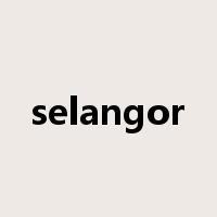 selangor是什么意思