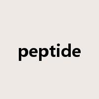 peptide是什么意思