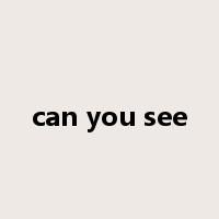 can you see是什么意思