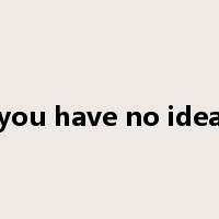 you have no idea是什么意思