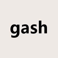 gash是什么意思