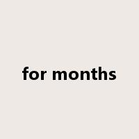 for months是什么意思