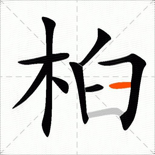 桕