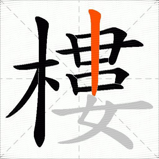 樓