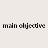 main objective是什么意思