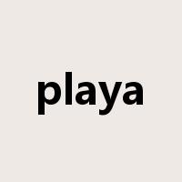 playa是什么意思