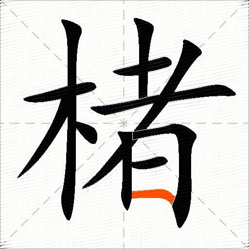 楮