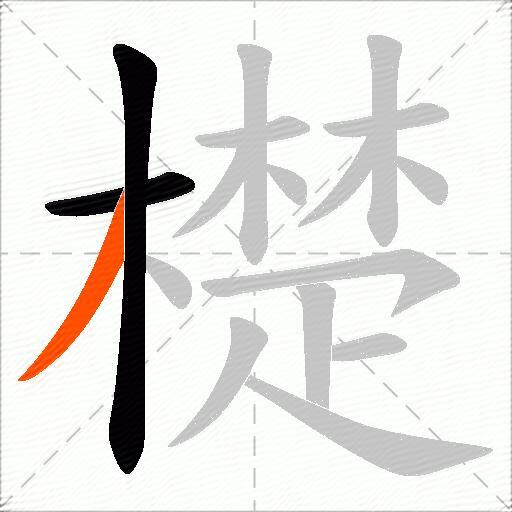 檚