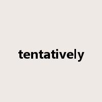 tentatively是什么意思