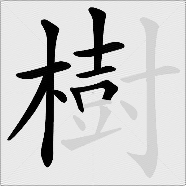 樹