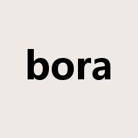 bora是什么意思