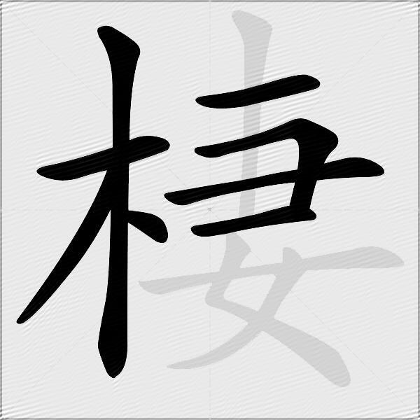 棲