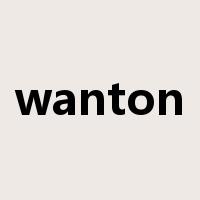 wanton是什么意思