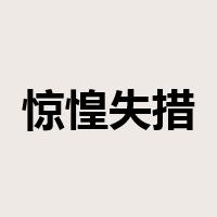 惊惶失措是什么意思