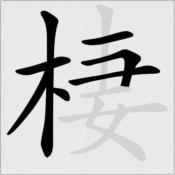 棲