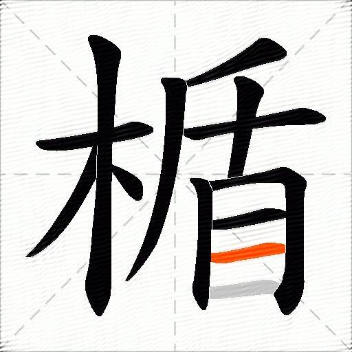 楯