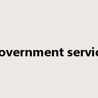 government service是什么意思