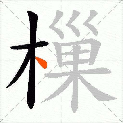 樔